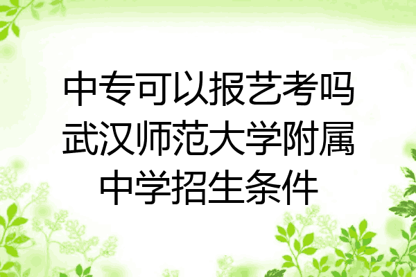 中专可以报艺考吗武汉师范大学附属中学招生条件