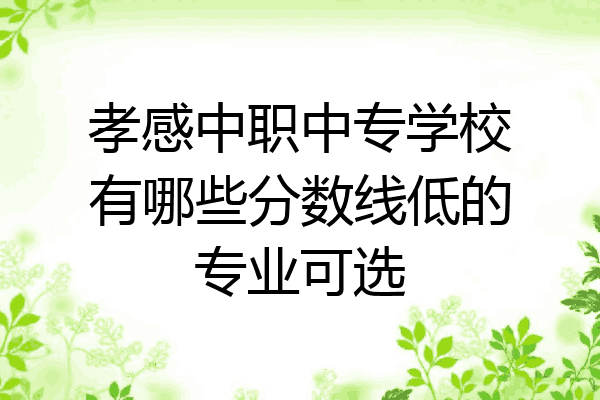 孝感中职中专学校有哪些分数线低的专业可选