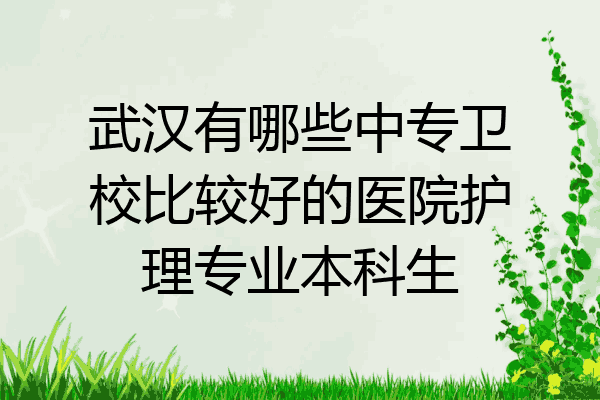 武汉有哪些中专卫校比较好的医院护理专业本科生