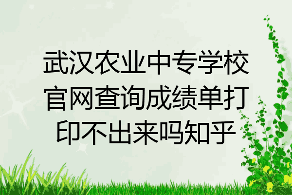 武汉农业中专学校官网查询成绩单打印不出来吗知乎
