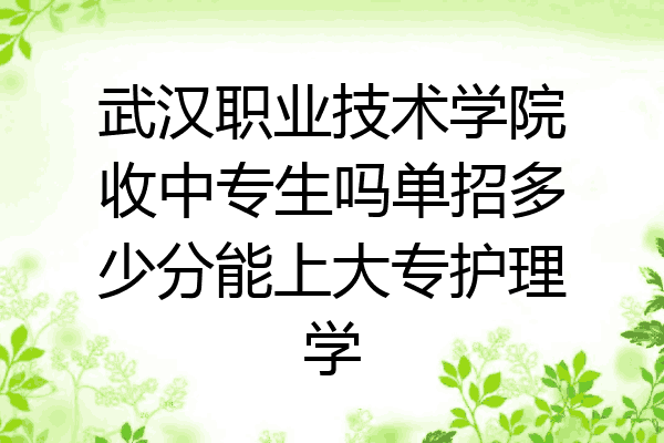 武汉职业技术学院收中专生吗单招多少分能上大专护理学