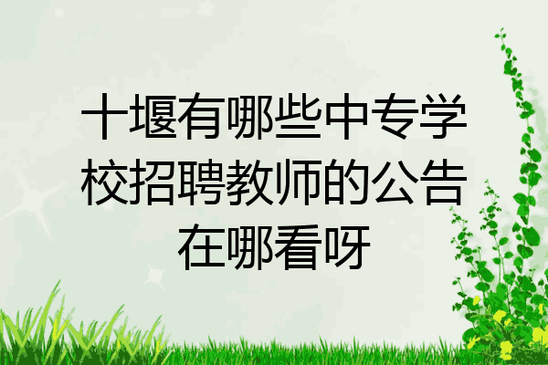 十堰有哪些中专学校招聘教师的公告在哪看呀