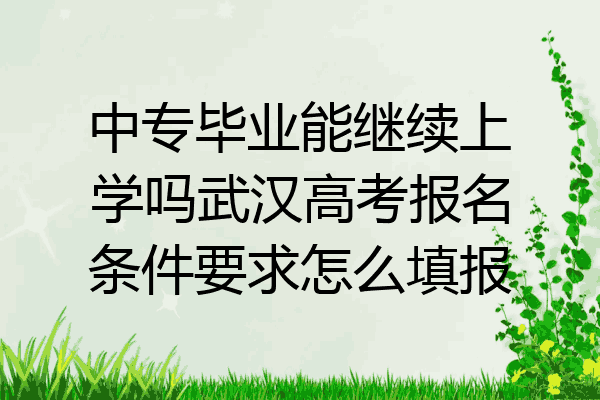 中专毕业能继续上学吗武汉高考报名条件要求怎么填报