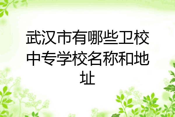 武汉市有哪些卫校中专学校名称和地址