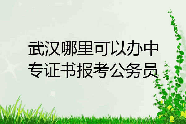 武汉哪里可以办中专证书报考公务员
