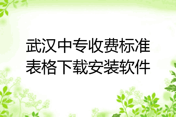 武汉中专收费标准表格下载安装软件