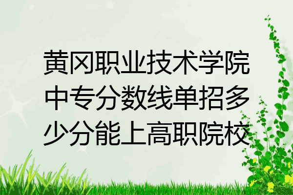 黄冈职业技术学院中专分数线单招多少分能上高职院校