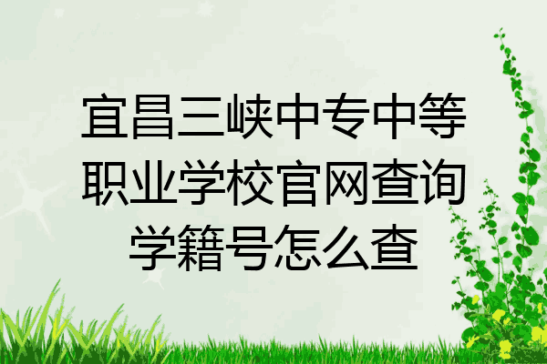 宜昌三峡中专中等职业学校官网查询学籍号怎么查