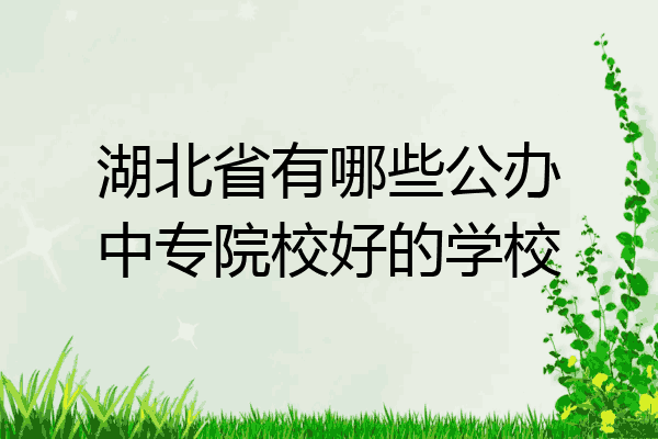 湖北省有哪些公办中专院校好的学校