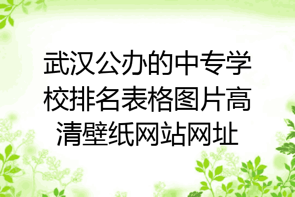 武汉公办的中专学校排名表格图片高清壁纸网站网址