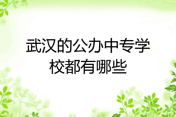 武汉的公办中专学校都有哪些