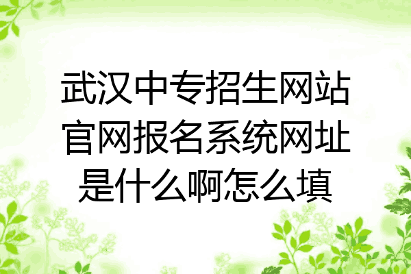 武汉中专招生网站官网报名系统网址是什么啊怎么填