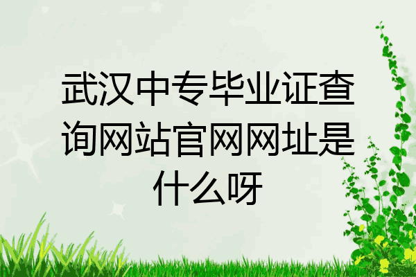 武汉中专毕业证查询网站官网网址是什么呀