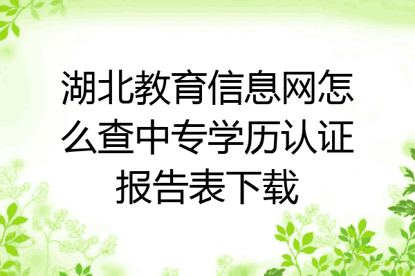 湖北教育信息网怎么查中专学历认证报告表下载