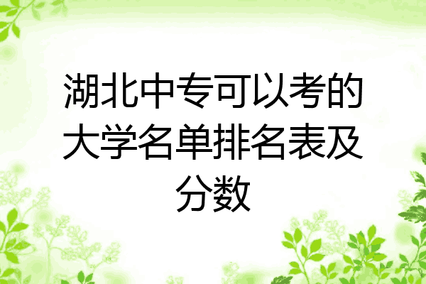湖北中专可以考的大学名单排名表及分数
