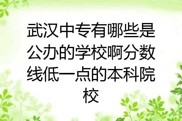 武汉中专有哪些是公办的学校啊分数线低一点的本科院校