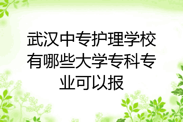 武汉中专护理学校有哪些大学专科专业可以报