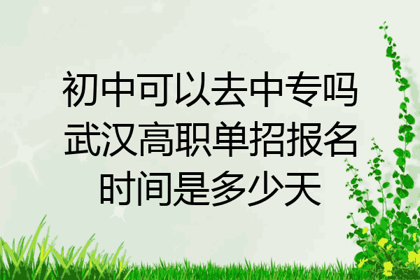 初中可以去中专吗武汉高职单招报名时间是多少天