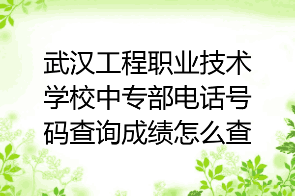 武汉工程职业技术学校中专部电话号码查询成绩怎么查