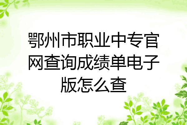鄂州市职业中专官网查询成绩单电子版怎么查