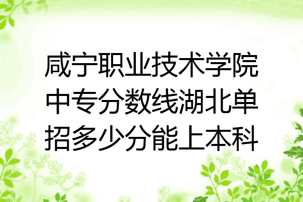 咸宁职业技术学院中专分数线湖北单招多少分能上本科