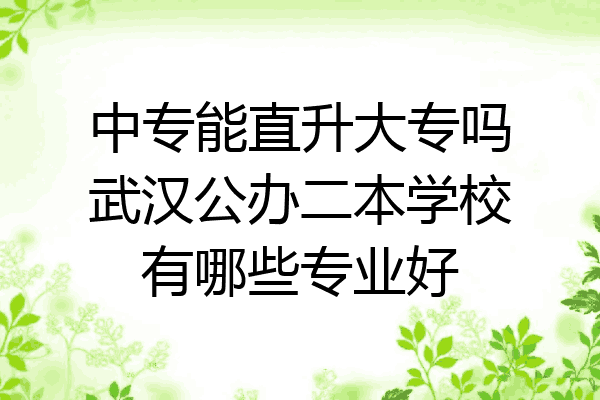 中专能直升大专吗武汉公办二本学校有哪些专业好