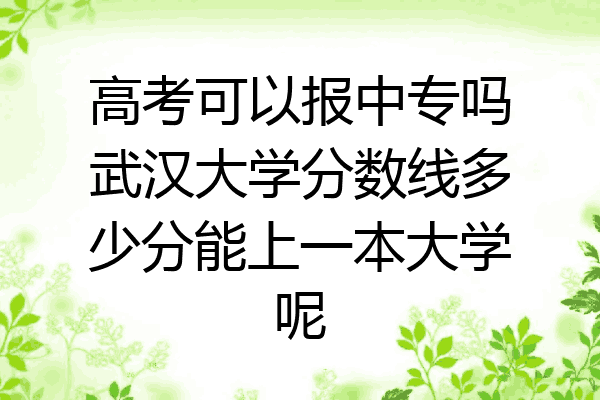 高考可以报中专吗武汉大学分数线多少分能上一本大学呢