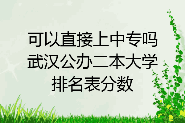 可以直接上中专吗武汉公办二本大学排名表分数
