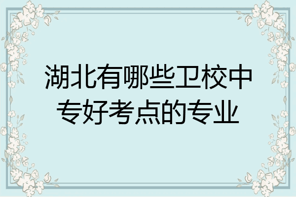 湖北有哪些卫校中专好考点的专业