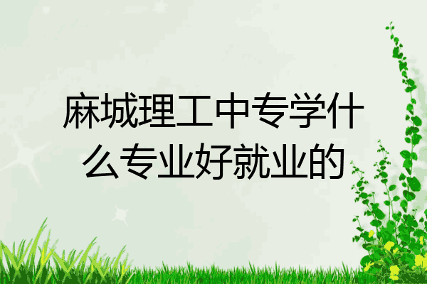 麻城理工中专学什么专业好就业的
