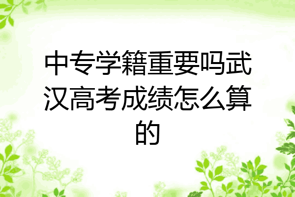 中专学籍重要吗武汉高考成绩怎么算的