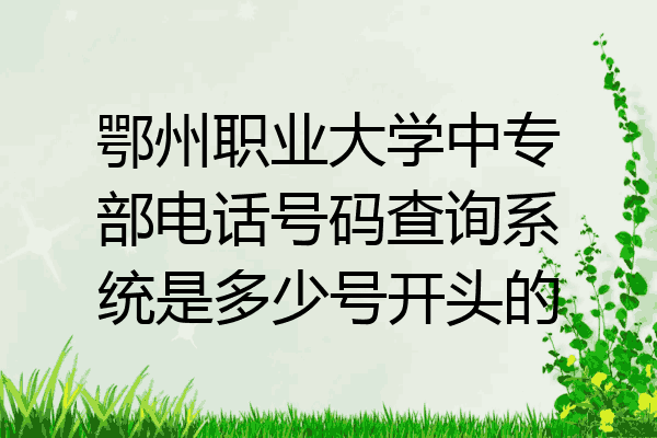 鄂州职业大学中专部电话号码查询系统是多少号开头的