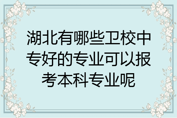 湖北有哪些卫校中专好的专业可以报考本科专业呢