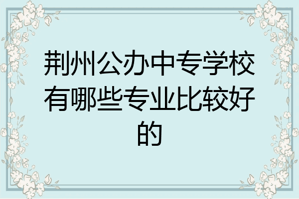 荆州公办中专学校有哪些专业比较好的