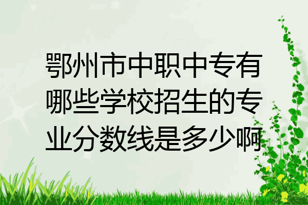 鄂州市中职中专有哪些学校招生的专业分数线是多少啊