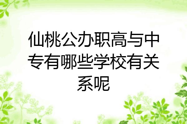 仙桃公办职高与中专有哪些学校有关系呢
