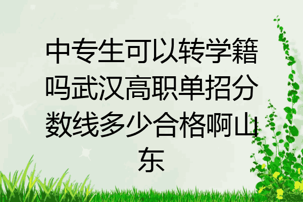 中专生可以转学籍吗武汉高职单招分数线多少合格啊山东