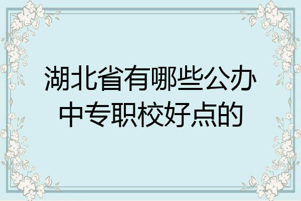 湖北省有哪些公办中专职校好点的