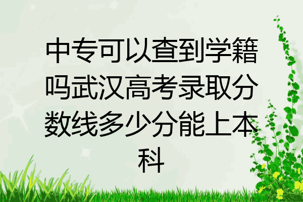 中专可以查到学籍吗武汉高考录取分数线多少分能上本科