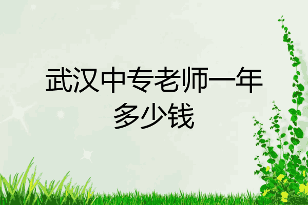 武汉中专老师一年多少钱
