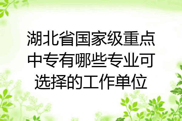 湖北省国家级重点中专有哪些专业可选择的工作单位