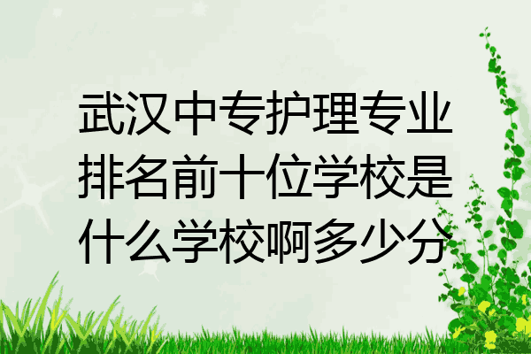 武汉中专护理专业排名前十位学校是什么学校啊多少分
