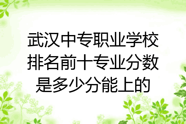 武汉中专职业学校排名前十专业分数是多少分能上的