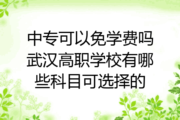 中专可以免学费吗武汉高职学校有哪些科目可选择的