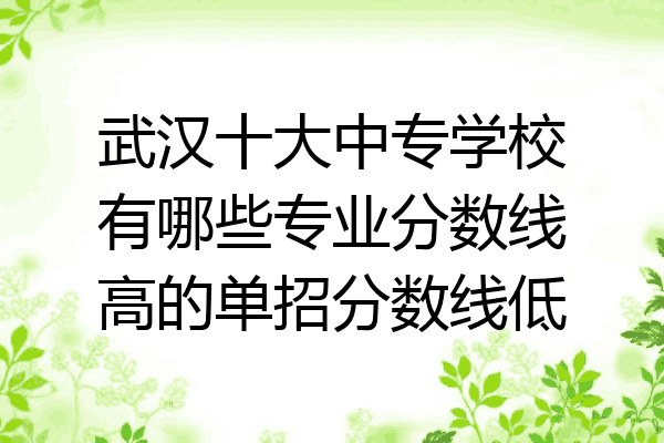 武汉十大中专学校有哪些专业分数线高的单招分数线低