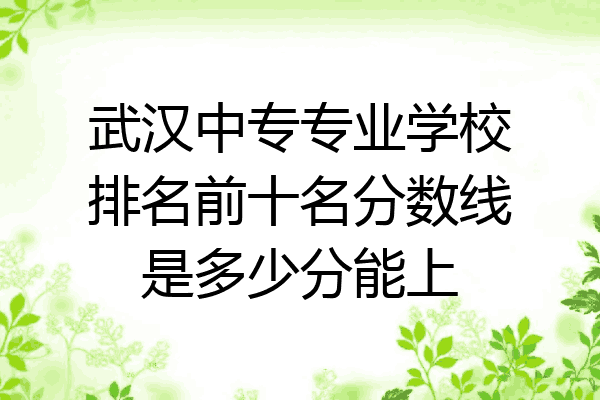 武汉中专专业学校排名前十名分数线是多少分能上