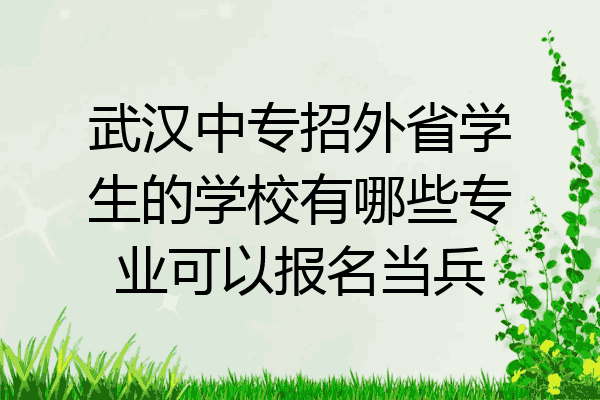 武汉中专招外省学生的学校有哪些专业可以报名当兵