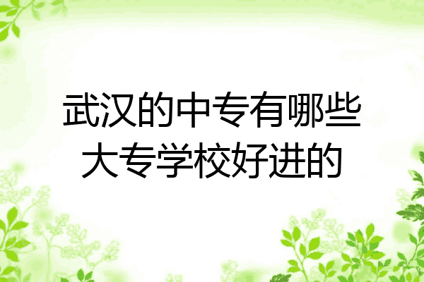武汉的中专有哪些大专学校好进的
