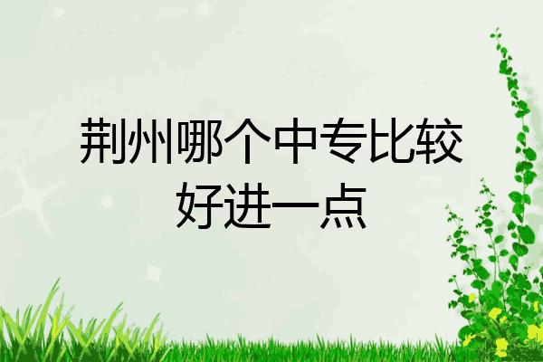 荆州哪个中专比较好进一点