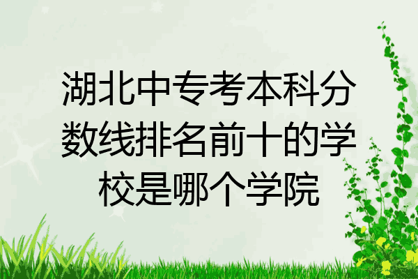 湖北中专考本科分数线排名前十的学校是哪个学院